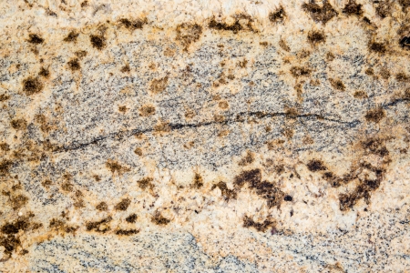 Colorful granite slab - closeup background and texture の写真素材