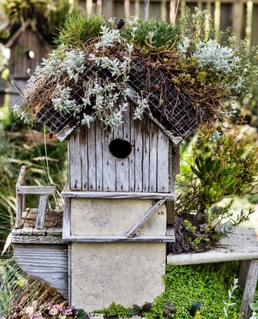Rustic old birdhouseの写真素材