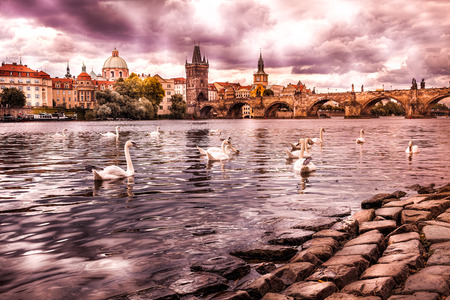 The center of Prague, river and white swans The historic center of Prague, ancient architecture, and cultural heritageの写真素材
