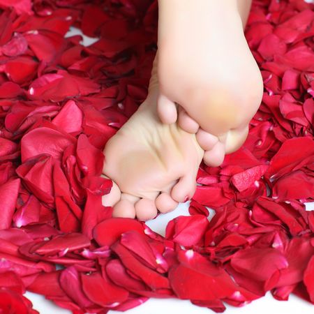 Pair of well-groomed feet against from petals of red rosesの写真素材