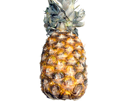 pineapple isolated on white backgroundの写真素材
