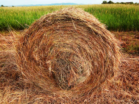 bale of hay in Maramures countyの写真素材