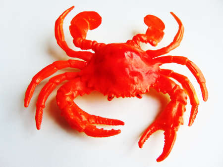 toy crab isolated on whiteの写真素材