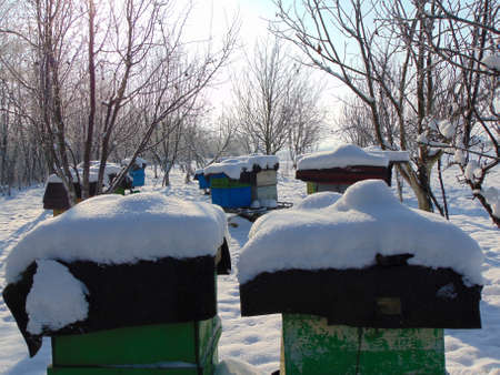 bee hives in the winterの写真素材