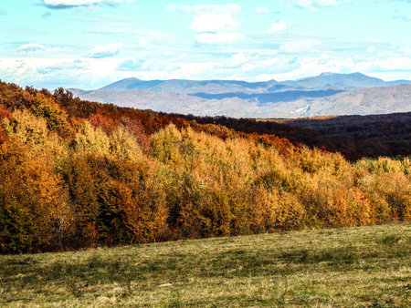 Autumn landscape in Maramures, Romania