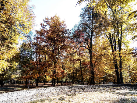 autumn landscape in the park - Romania