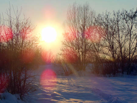 the sun in the sky in winter - landscapeの写真素材