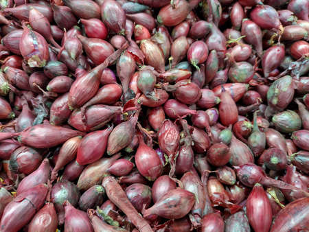 pile of red chives - vegetablesの写真素材