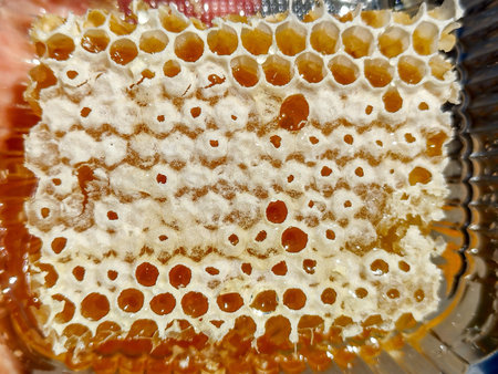 honeycomb - raw, apiculture, macro view