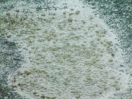 raindrops falling into a puddle during a torrential downpourの写真素材