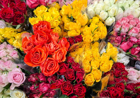 Bouquets of roses of various colorsの写真素材