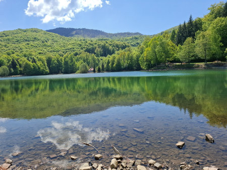 Bodi Lake in Mogosa resort and a green landscape during spring. Maramures county, Romaniaの写真素材