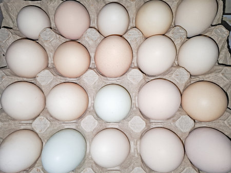 Pile of chicken eggs. In Romania