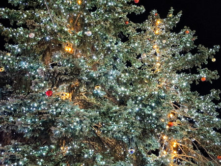 Christmas lights on a treeの写真素材