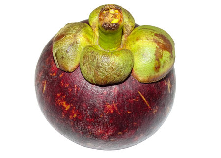 Mangosteen fruit isolated on white backgroundの写真素材