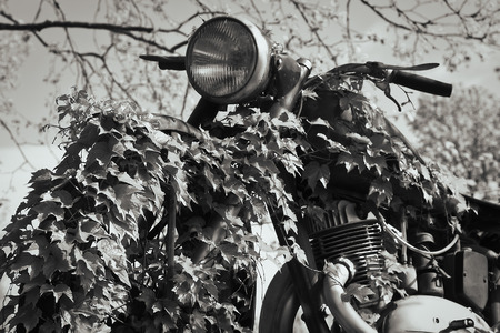 Retro motorcycle exhibition overgrown with ivy.の写真素材