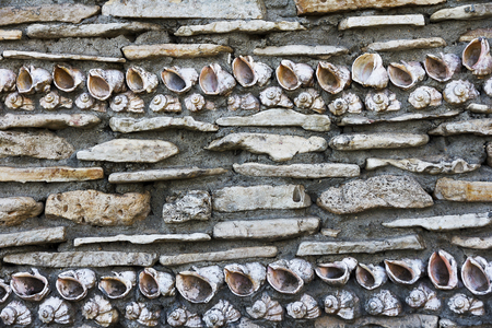 Wall lined with shells, background texturedの写真素材