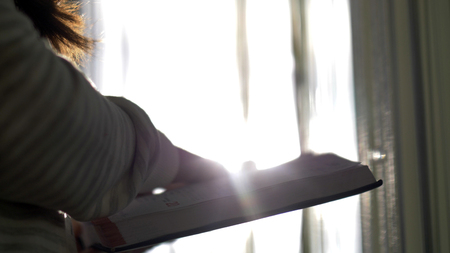Woman reading Diary with entries near window, sun raysの写真素材