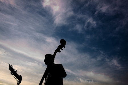 A man with a cello standing in front of the sunset. High quality photoの写真素材