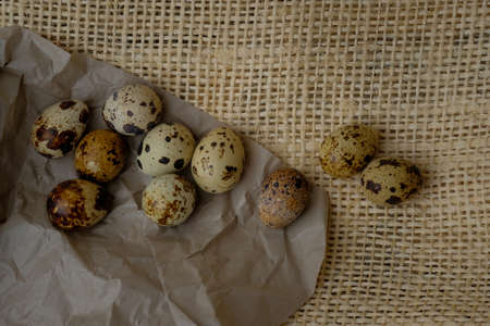 Easter quail eggs on craft paper and rustic burlap background. Easter eggs on craft paper and burlap fabric texture. Spring background with small easter quail eggs.の写真素材