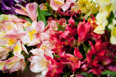multicolored bouquet of colorful different flowersの写真素材