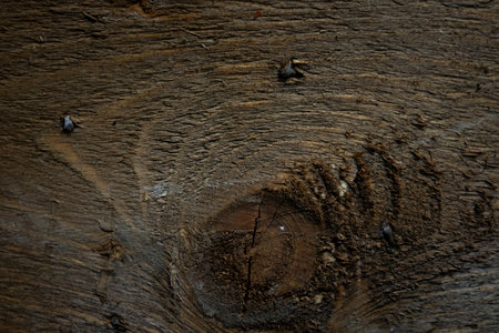 Natural Wood Texture Background. Almond Tree Wood Grained Texture. Dark Wooden Background. old scratched wooden oak board with cracks, vintage background. Old scratch wood wall texture backgroundの写真素材