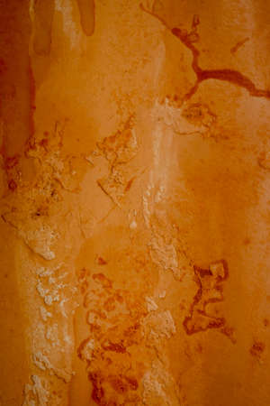 Bright grunge wall texture. Grunge vintage stone wall background texture with orange texture of husk, stain paint. Vintage orange wall wallpaper. Texture wall, orange grunge background, stain.の写真素材