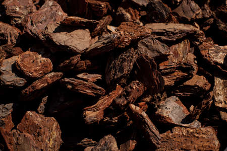 Crushed tree bark texture background closeup. bark texture closeup.の写真素材