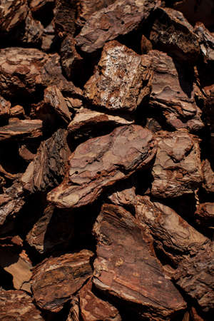 Crushed tree bark texture background closeup. bark texture closeup.の写真素材