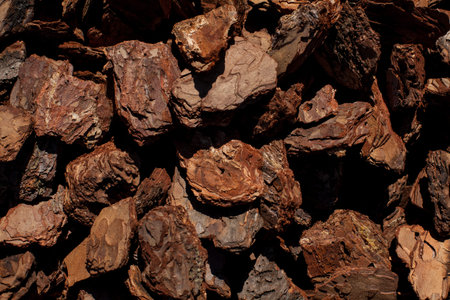 Crushed tree bark texture background closeup. bark texture closeup.