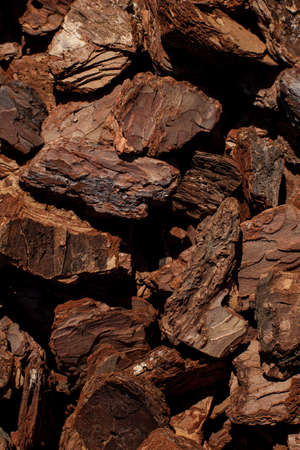 Crushed tree bark texture background closeup. bark texture closeup.の写真素材