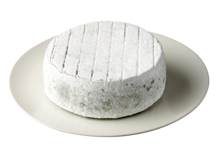 white round cheese served on a porcelain plate.の写真素材