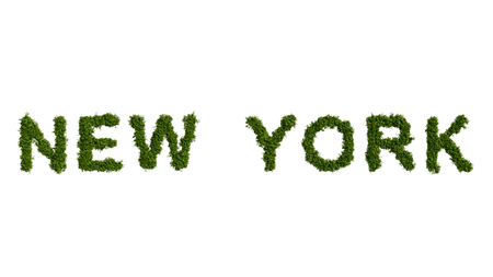 Inscription New York from green foliage on the isolated white background.の写真素材