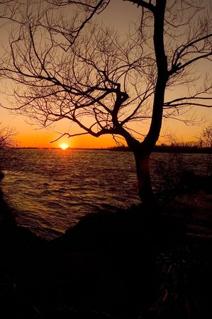 a beautiful sunset on a river side and a silhouaite of a treeの写真素材