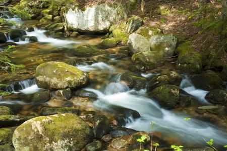 Small waterfalls in the middle of a forestの写真素材