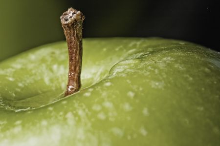 close up shot of a green appleの写真素材
