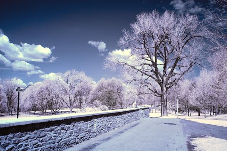 Landscape scene shot with an infrared filterの写真素材