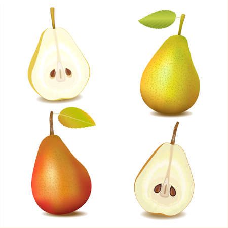 Red, Green yellow pear realistic set. Cross section of cut pear and whole fruit, isolated vector illustration.のイラスト素材