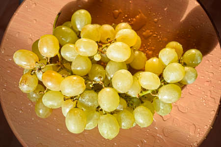Ripe green grapes close up. White grapes with water drops.の写真素材