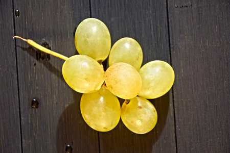 Ripe green grapes close up. One bunch of freshly picked green grapes on a dark wooden surfaceの写真素材