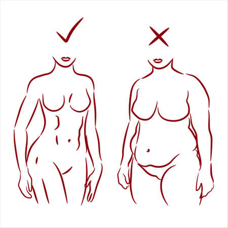 Fat and slim woman. Female body silhouette before and after the diet,   losing weight. Female body line art before and after the fitness. Weight loss concept. Woman silhouette vector illustration.のイラスト素材