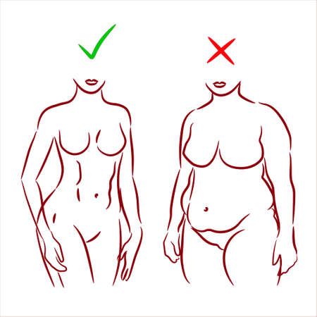 Fat and slim woman. Female body silhouette before and after the diet,   losing weight. Female body line art before and after the fitness. Weight loss concept. Woman silhouette raster illustration.の写真素材
