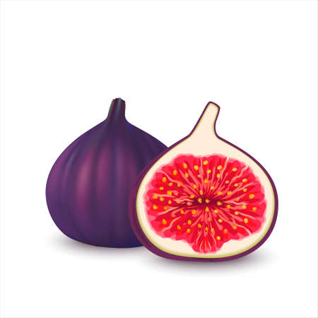 Realistic whole and half cut figs. Vector illustration of fresh slice figs isolated on white background. Sweet juicy fruit. Summer tropical fruits for a healthy lifestyle.のイラスト素材
