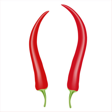 Vector realistic illustration of red chili pepper. Isolated on white background. Design for groceryのイラスト素材