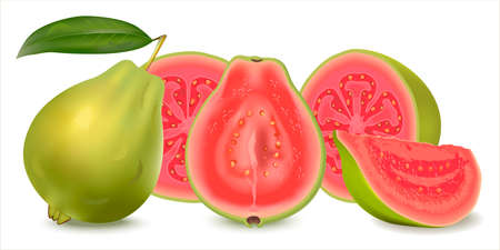 Realistic illustration guava. Fresh whole guava with leaves, half guava and slice isolated on white background. Can Lower Blood Pressure Cholesterol, enhance Body Immunity. Psidium guajava.のイラスト素材