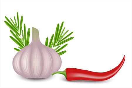 Raw garlic, rosemary and red hot chili pepper on the left and text space on the right. Realistic vector illustration isolated on white background.のイラスト素材