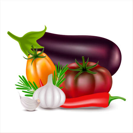 Still life of realistic 3d vegetables. Vector fresh vegetables: eggplant, fresh dark red and yellow tomatoes, red chili peppers and garlic, isolated on white background. Package design elements.の写真素材
