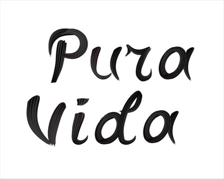 Pura Vida - hand lettered quote. Translation from Spanish - Pure life. Design for posters, flyers, T-shirts, banners, invitations. Pura Vida text drawn with a brush in black on awのイラスト素材