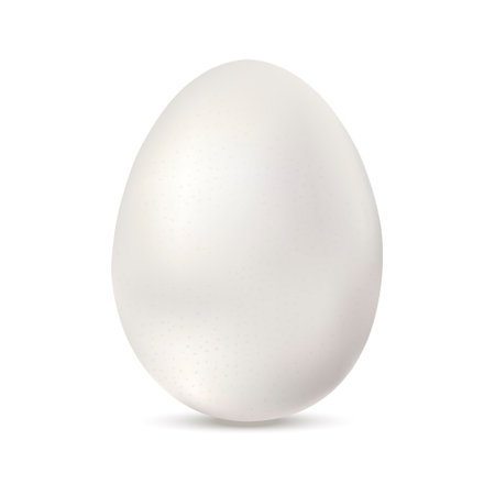 Realistic white chicken egg. Big bird egg isolated on white background. Template for Easter holiday. Vector illustration EPS 10のイラスト素材