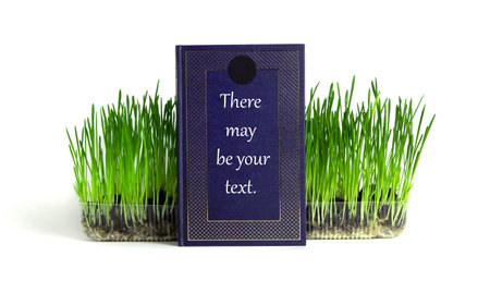 Blue book with space for text stands next to grass on white isolated backgroundの写真素材